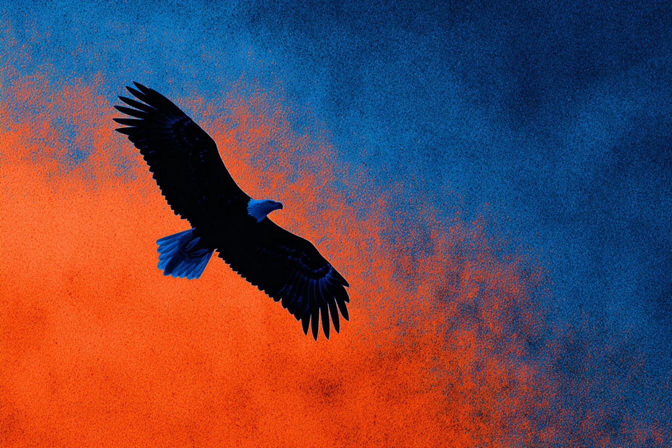 Solarized Silhouette